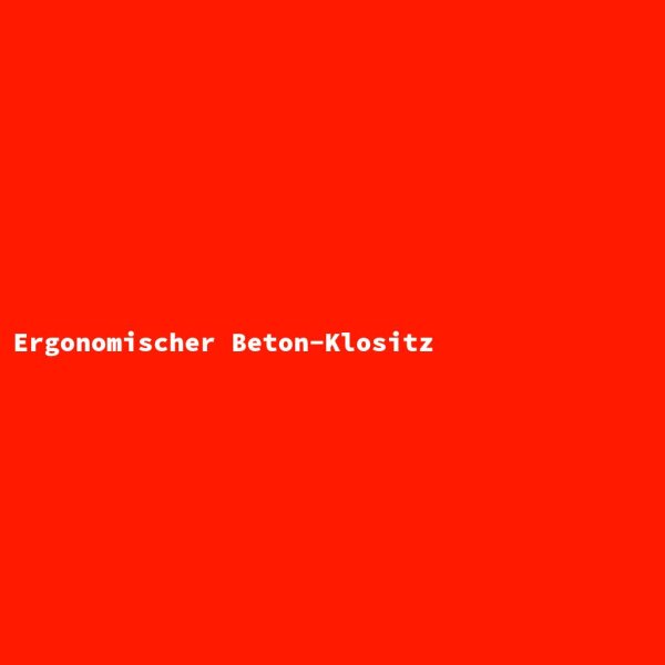 Ergonomischer Beton-Klositz