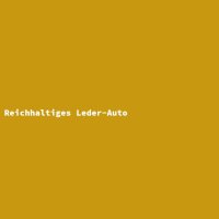 Reichhaltiges Leder-Auto